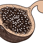 The Fig logo